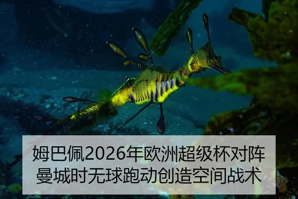 mu-ba-pei-nian-ou-zhou-chao-ji-bei-dui-zhen-man-cheng-shi-wu-qiu-pao-dong-chuang-zao-kong-jian-zhan-shu-2-734.jpg