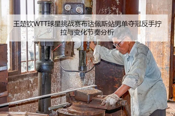 王楚钦WTT球星挑战赛布达佩斯站男单夺冠反手拧拉与变化节奏分析
