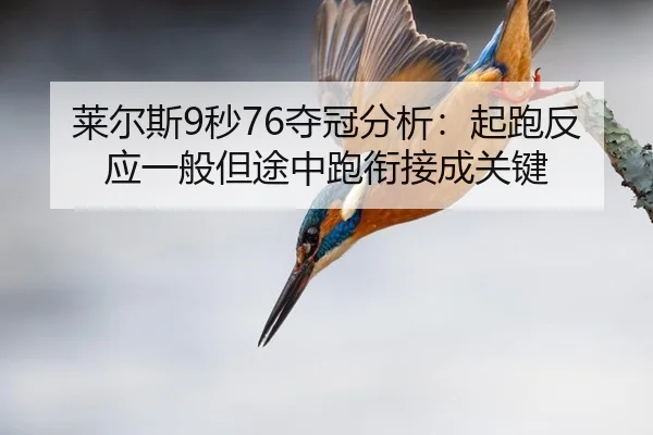 lai-er-si-miao-duo-guan-fen-xi-qi-pao-fan-ying-yi-ban-dan-tu-zhong-pao-xian-jie-cheng-guan-jian-2-334.jpg