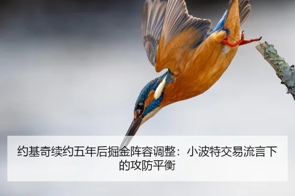 yue-ji-qi-xu-yue-wu-nian-hou-jue-jin-zhen-rong-tiao-zheng-xiao-bo-te-jiao-yi-liu-yan-xia-de-gong-fang-ping-heng-2-577.jpg